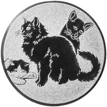 Katzen