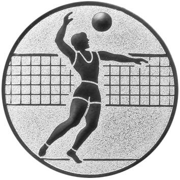 Volleyball Herren