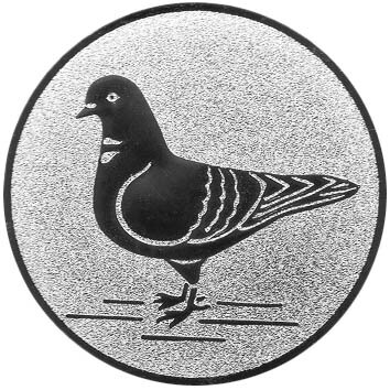Taube